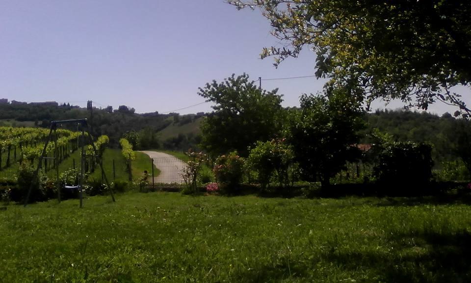 Bed & Breakfast Cascina Beatrice Rodello Exteriér fotografie